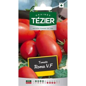 GRAINE - SEMENCE Sachet Graines - Tezier - Tomate Roma V.F - Sachet légume petit modèle - (Mois de semis de 2 à 5)