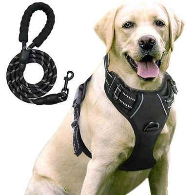 Lot De 2 Ceintures De Sécurité Pour Chien - Câble En Acier Anti-mastication, 40 Cm, Pour Chiens Jusqu'à 12 Kg