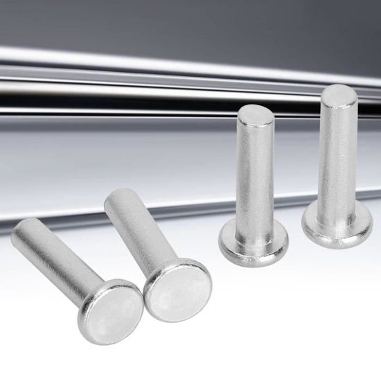 Plate Ribet Solid SAL Rivet solide (M6*25)20Pcs Gb867 M6 Rivets En Aluminium Massif à ...