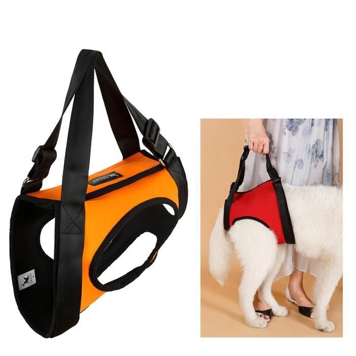 Harnais de levage pour chiens Levée de la jambe arrière Sangle d'assistance à l'aide canine pour petits chiens Invalides-3_Regisi