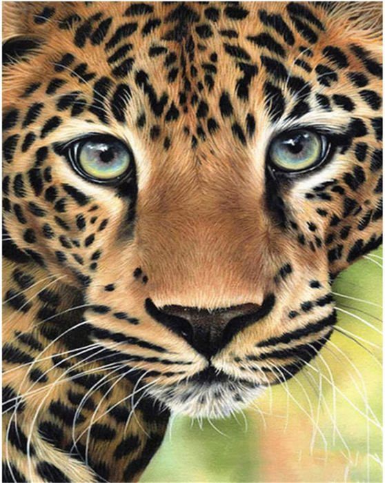 Kit Peinture Diamant 5D Léopard 50x80 Cm - Broderie Diamant Adulte/débutant - Décoration Murale Cadeau