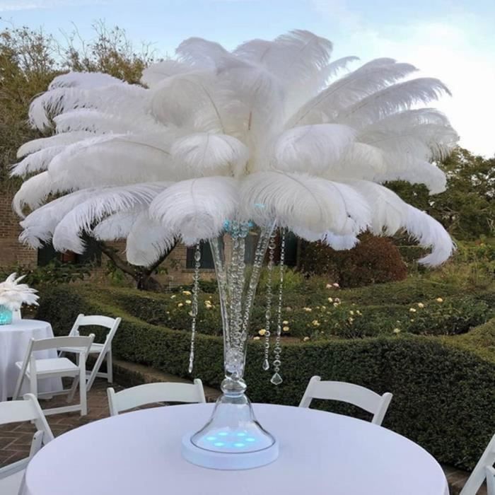 Meilleurs prix pour Embellissements Plumes dautruches Naturelles pannemies de Plumes Blanches pour centres de Table 10pcs Label