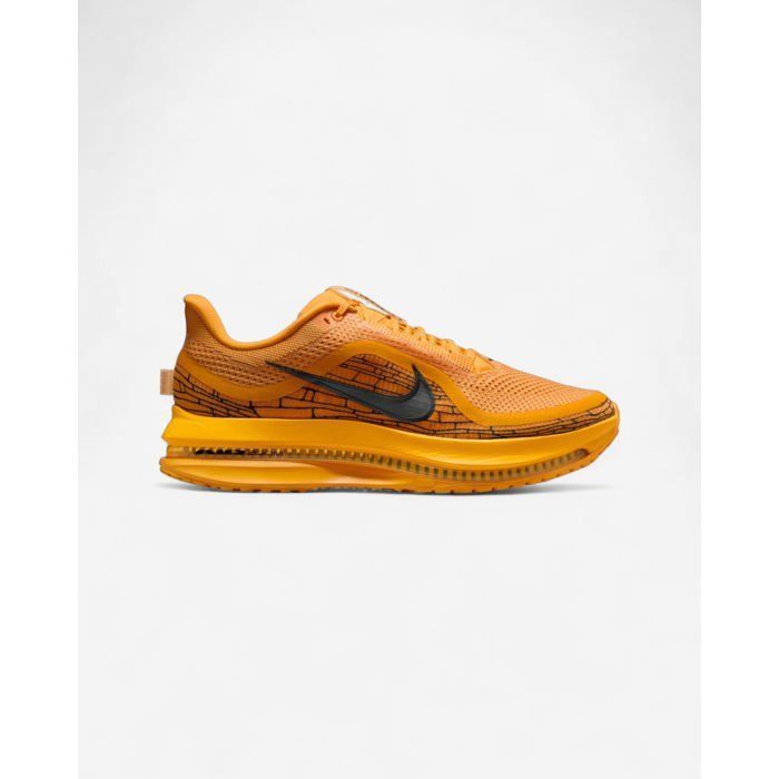 Nike Nike Air Zoom Pegasus Premium Modern Mayfly