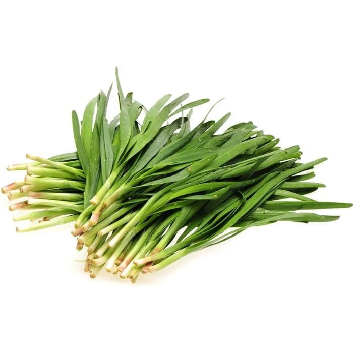 300 Graines De Sarriette - Aromatique Et Médicinale - Semences Paysannes Reproductibles - SemiSauvage