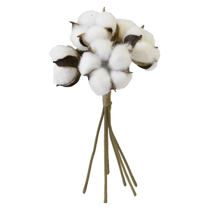 Bouquet de fleurs de coton - HOBI - 6 têtes - 24 cm - Blanc - Coton naturel