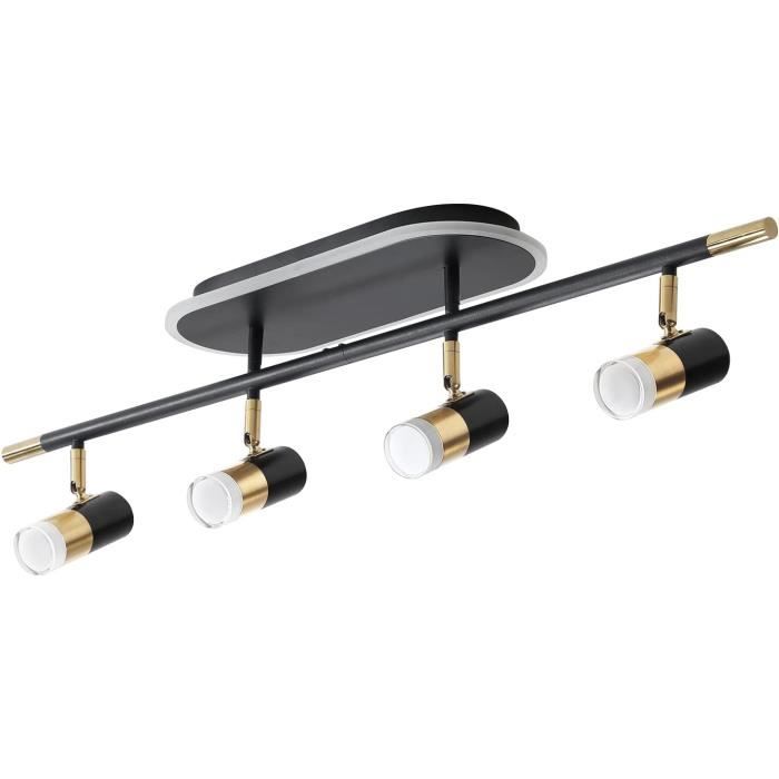 Projecteur LED Rechargeable Avec Télécommande - Spot Rotatif 360° Pour Plantes, Déco - Piles Intégrées 1000 MAh