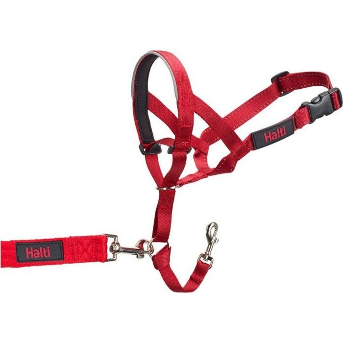 Meilleurs prix pour Halti Collier à tête - Rouge - Taille 4