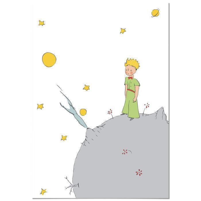 Tableau Le Petit Prince Planète 50x70 cm - Imprimée sur Toile - Décoration Murale