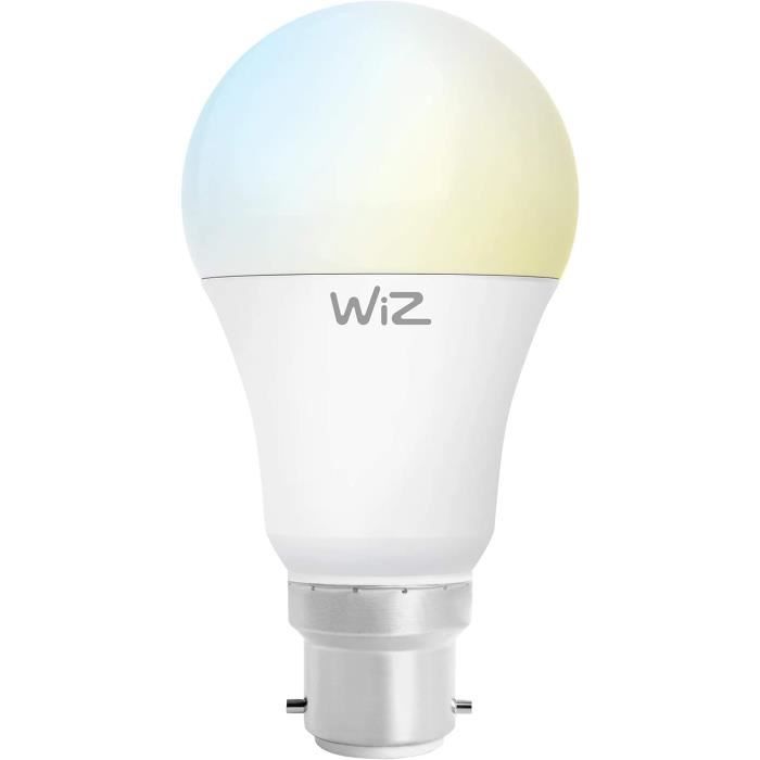 Meross Ampoule Connectée WiFi, Lot de 2 Ampoules Edison LED E27 Meross Ampoule Connectée WiFi, Lot de 2 Ampoules Edison LED E27