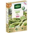 Graines de haricot vert sans fil - VILMORIN - Haricot maxi bio - Productif et précoce - Facile à récolter-0
