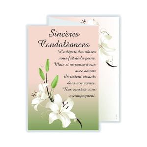 ENVELOPPE Cartes Et Papier Cartonné - Afie 69-3925 Carte 3 Volets Sincères Condoléances Enveloppe