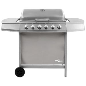 BARBECUE LEX Barbecue gril à gaz avec 6 brûleurs Argenté - Qqmora - OVN38481