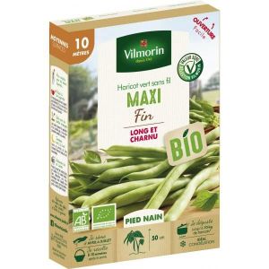 GRAINE - SEMENCE Graines de haricot vert sans fil - VILMORIN - Hari