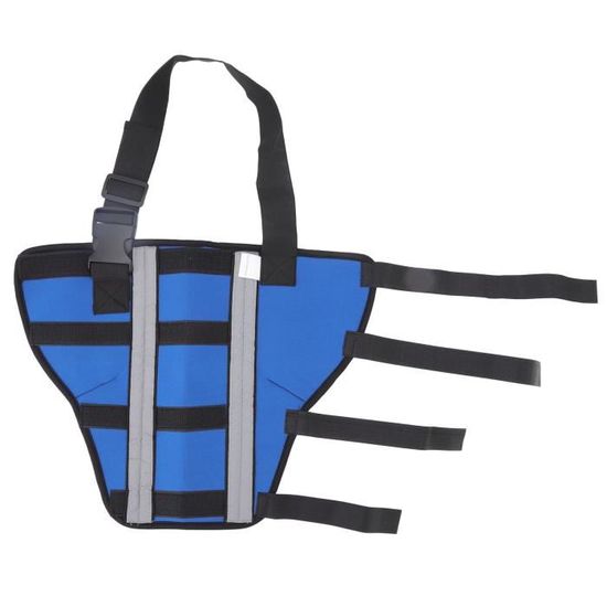 Attelle Pour Pattes De Poussin/caneton - Lot De 4 Tailles, En Plastique 3D, Pour Blessures Ou Soutien