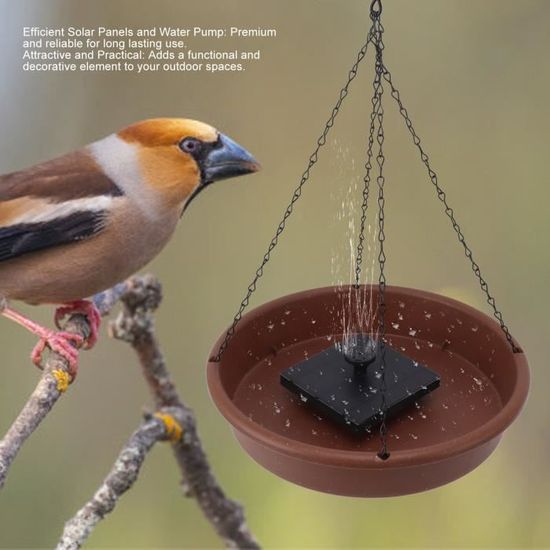 MANGEOIRE POUR BAIN D'oiseaux Plateau De Rangement Pour Aliments Pour