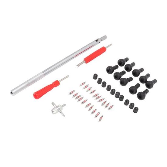 Kit Outil Changement Valve Pneu - Avec 4 Noyaux De Rechange, Compatible Trous De Jante 1,2cm - 5