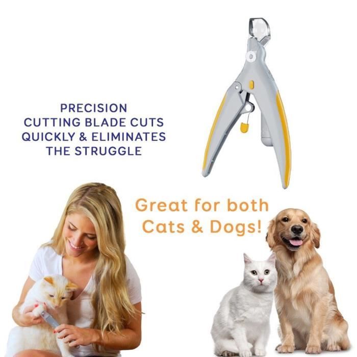 Tondeuse à ongles pour animaux de compagnie à LED tondeuses à chat chiens grinders outil de soins des ongles
