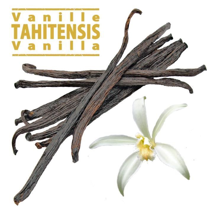 10 gousses de Vanille noire \