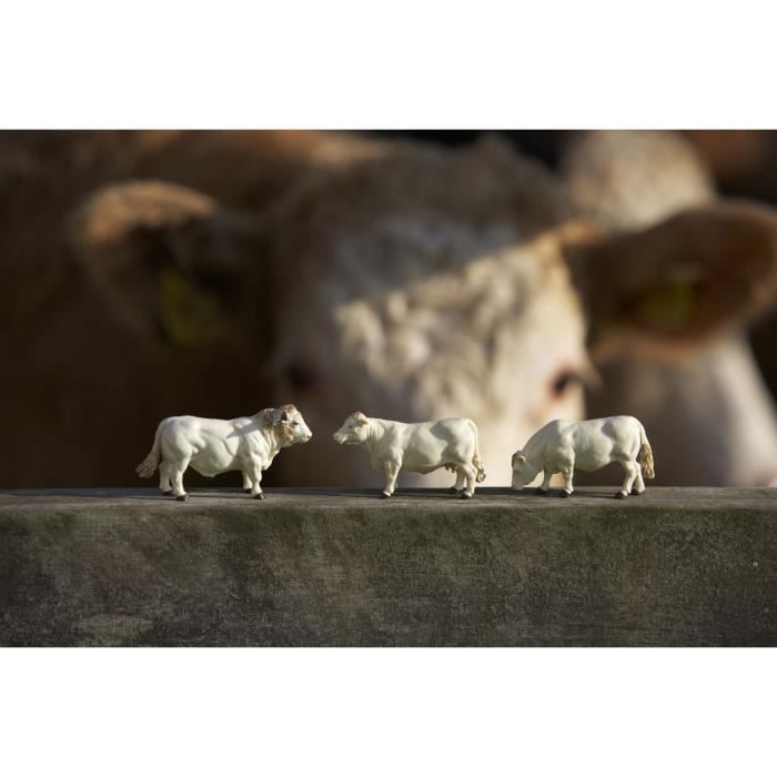 TOMY Lot de 3 vaches charolaises