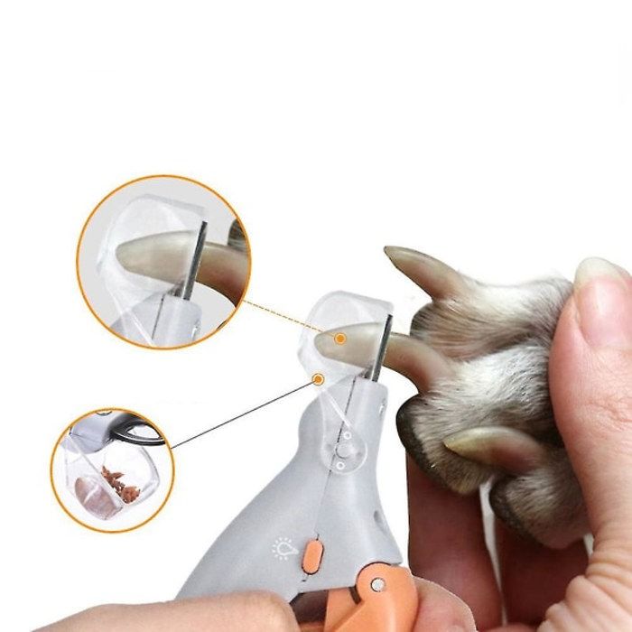 Meilleurs prix pour Coupe-Ongles Professionnel pour Animaux - Avec Lumire LED Fournitures pour Animaux PZCC