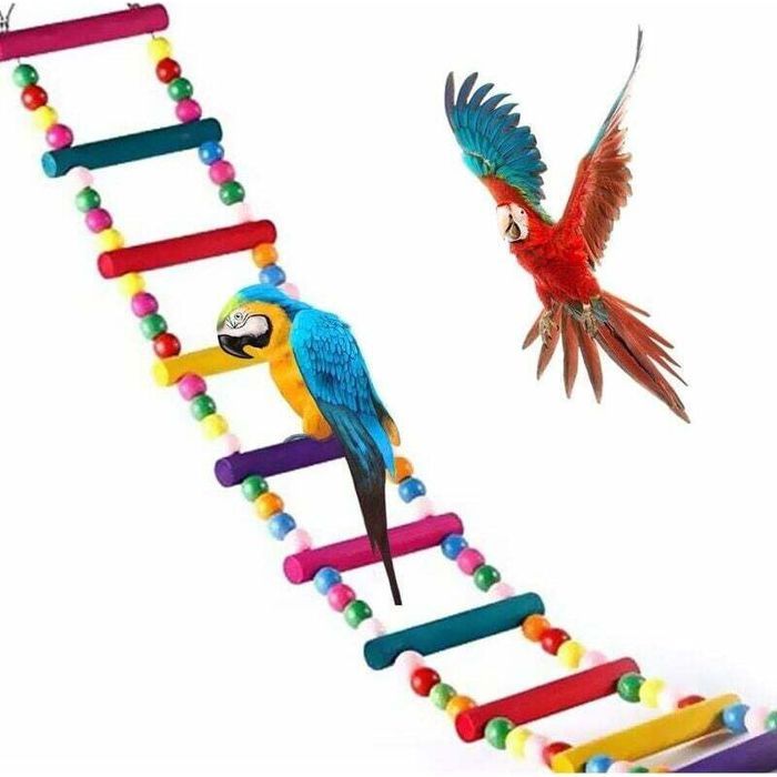 Échelle arc-en-ciel pour oiseaux balançoire et pont dentraînement perruches