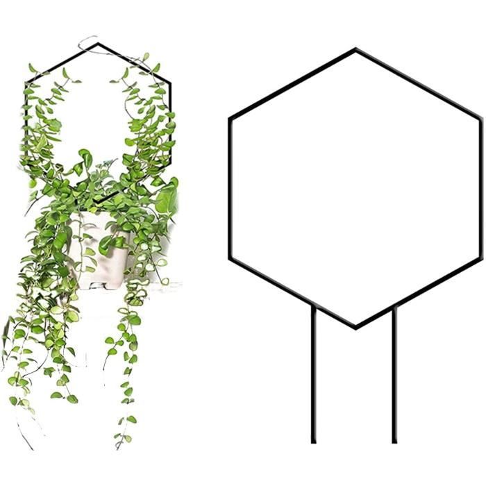 Treillis Métallique Pour Plantes Grimpantes – Forme éventail 30 X 40 Cm – Noir – Pour Intérieur/extérieur – Lierre, Clématite, Jasmin - 3