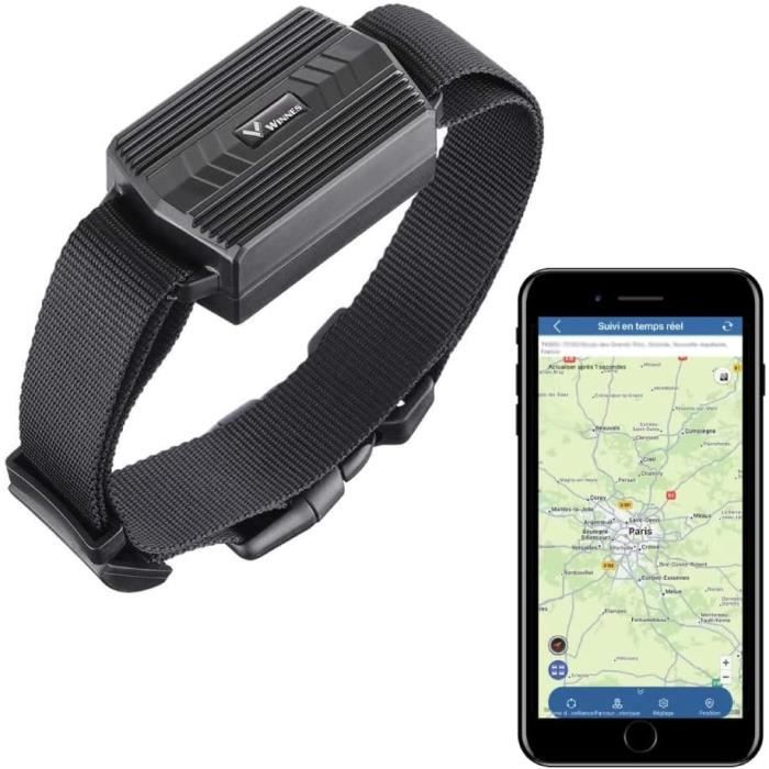 Collier avec Balise GPS temps réel sans abonnement pour animaux chien et  chat - GPS - Achat & prix