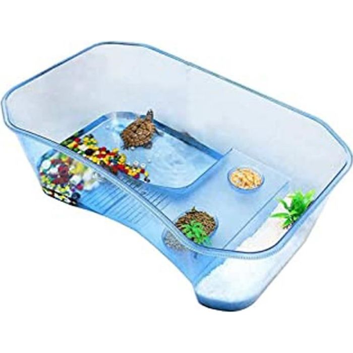 Terrarium Tortue Terrestre Aquarium Pour Tortues Avec Palmier Et