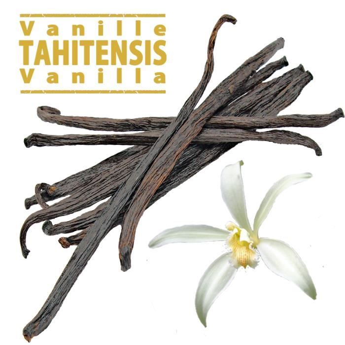 10 gousses de Vanille noire Tahitensis qualité Gourmet. Taille