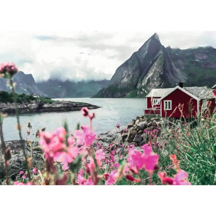 Puzzle 1000 pièces Reine, Lofoten, Norvège (Puzzle Highlights)- Puzzle Adulte - 16740 - Ravensburger