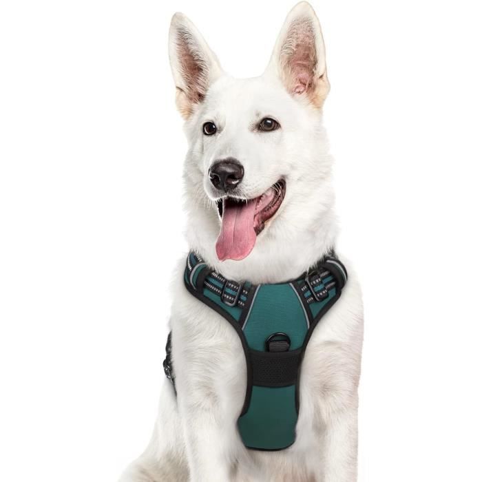 Harnais pour Chien Réglable Réfléchissant sans Traction Gilet Durable pour Animaux de Compagnie