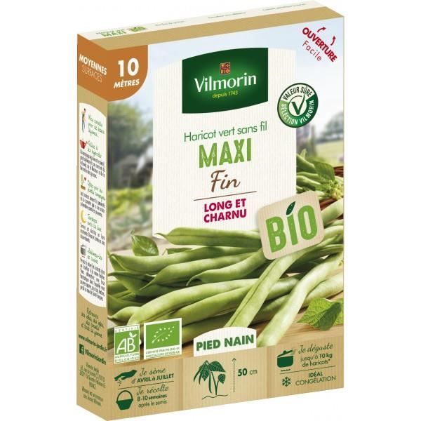 Graines de haricot vert sans fil - VILMORIN - Haricot maxi bio - Productif et précoce - Facile à récolter