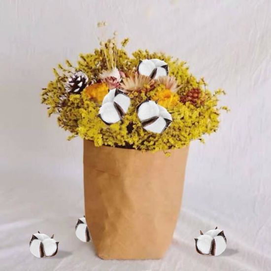 10Pcs naturellement secs Coton Fleur avec Tige Bricolage Artisanat Mariage Décoration Maison Ma