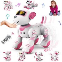 VATOS Robot Chien Télécommandé Rose Enfants - Interactif Chien Robot Programmable 17 Fonctions Cadeaux Jouets pour Filles Garçons