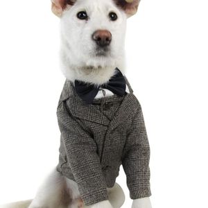 إرهابي مذكرات دفتر Chien Mariage Cravate Balestron Com