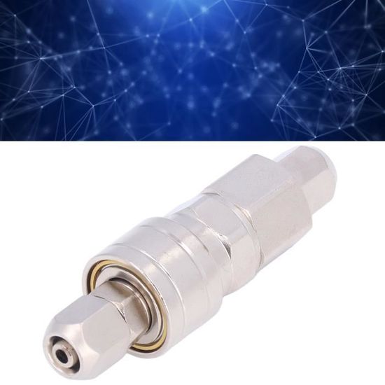 Coupleur Rapide 1/8" BSPP En Acier Inoxydable - Pour Pistolet à Air Comprimé PCP