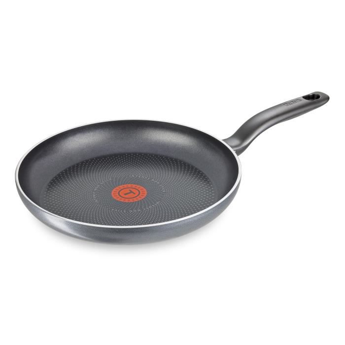 TEFAL C2620402 Poêle 24 cm REVELATION PLUS Anti-adhésif - Tous feux dont induction - Made in France - Gris