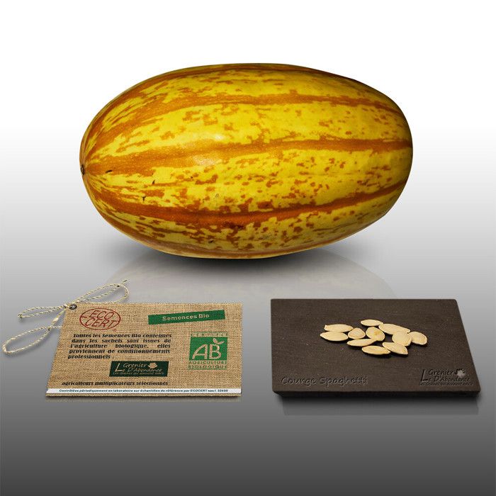 Choisir ses variétés de courgettes - Fiches Potager - Bio Potager Choisir ses variétés de courgettes - Fiches Potager - Bio Potager