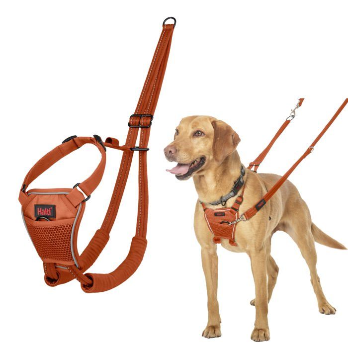 Harnais anti-traction pour chien - Halti - Taille M - Orange Brûlé - Sangles rembourrées - Réglable Harnais anti-traction pour chien - Halti - Taille M - Orange Brûlé - Sangles rembourrées - Réglable