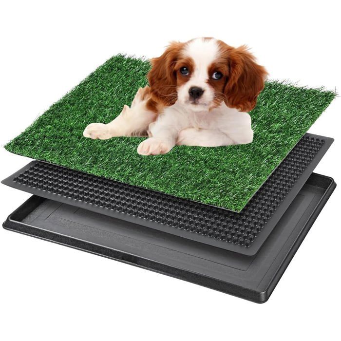 Bac à litière pour chien - 1 unité - Plastique PP - Système 3 couches - Chiots et petits chiens - 40 x 50 cm MICRODERMABRASION