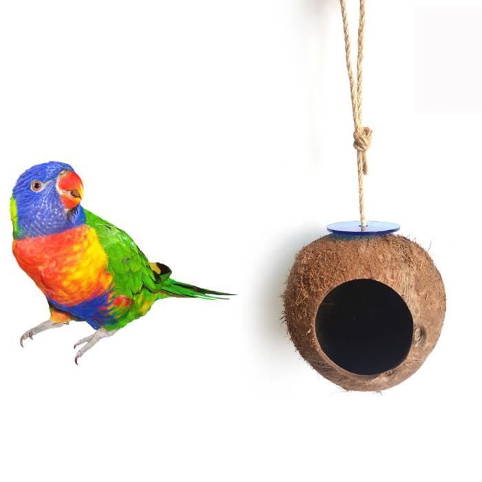 Naturel De Noix De Coco Nid D Oiseau Maison Hut Cage Feeder Pet Parrot Perruche Toy Kit Habitat Couchage Banbando144 Cdiscount