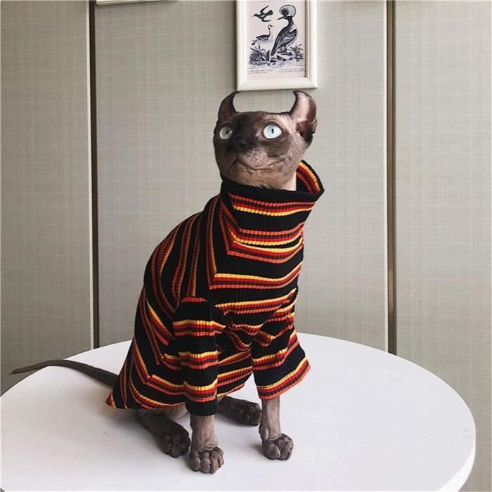 Zhihan Sphinx Raye Couleur Pull Sans Poil Chat Automne Et Hiver Vetements Anti Off Epaississement Des Couleurs Xs Cdiscount Animalerie