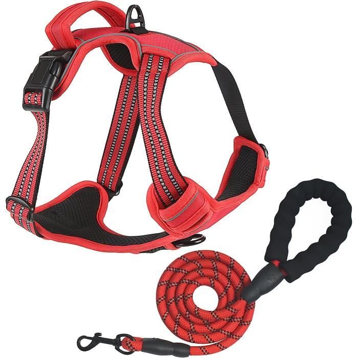 Harnais Chien L, Bleu Clair Anti-Traction Réfléchissant, Gilet Réglable Grand Chien, Attache Crochet Laisse Trajet Voit, American Staff, Border Collie | Leroy Merlin