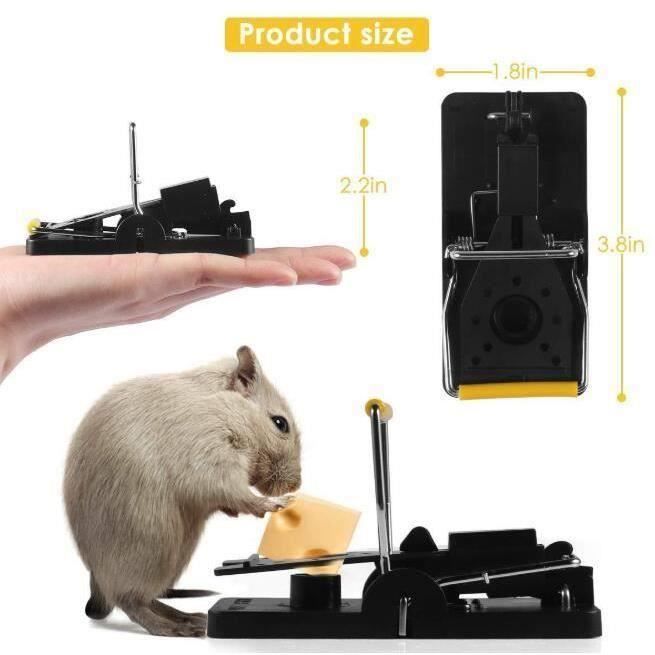 Tuer Une Souris Rapidement