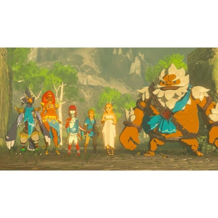 DLC Pass d'Extension pour The Legend of Zelda Breath of the Wild