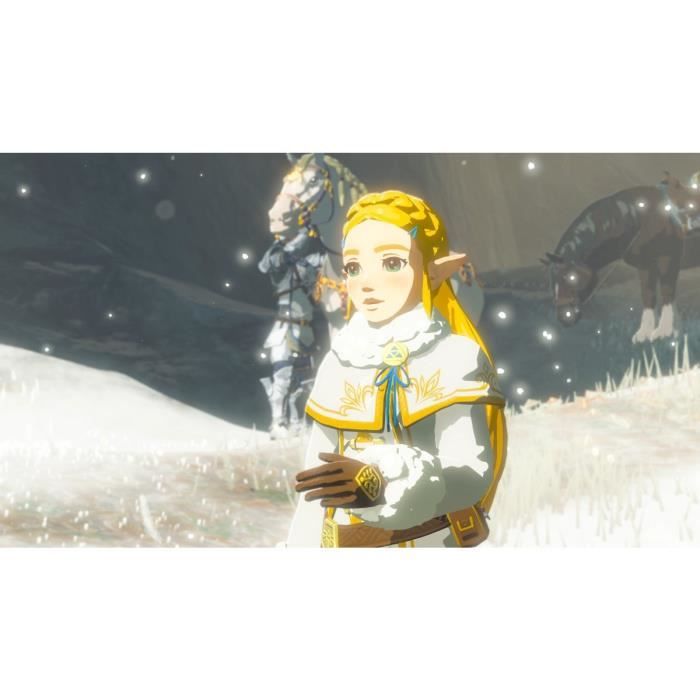 DLC Pass d'Extension pour The Legend of Zelda Breath of the Wild