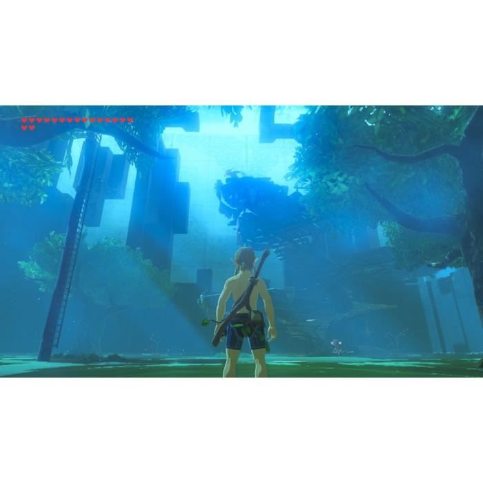 DLC Pass d'Extension pour The Legend of Zelda Breath of the Wild