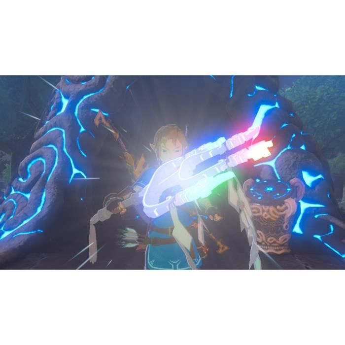 DLC Pass d'Extension pour The Legend of Zelda Breath of the Wild