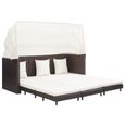 vidaXL Canapé-lit extensible 3 places avec toit Résine tressée Marron 46076-0