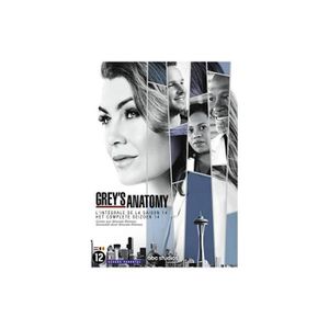 DVD SÉRIE Grey's Anatomy - Saison 14 [DVD]